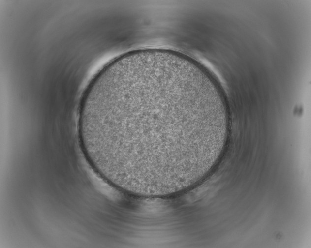 X0000091551416200709141507