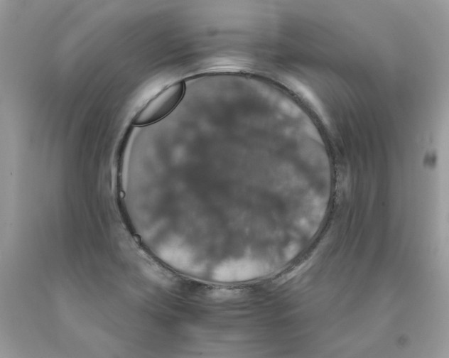 X0000091551419200709141507