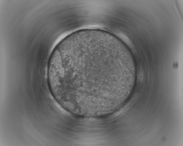 X0000091551420200709141507