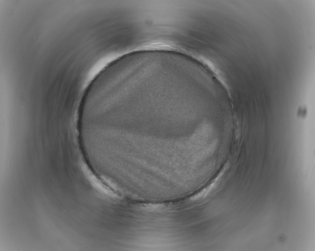 X0000091551422200709141507