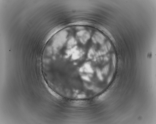 X0000091551425200709141507