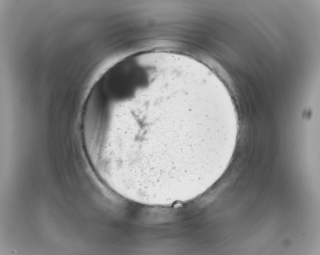 X0000091551429200709141507