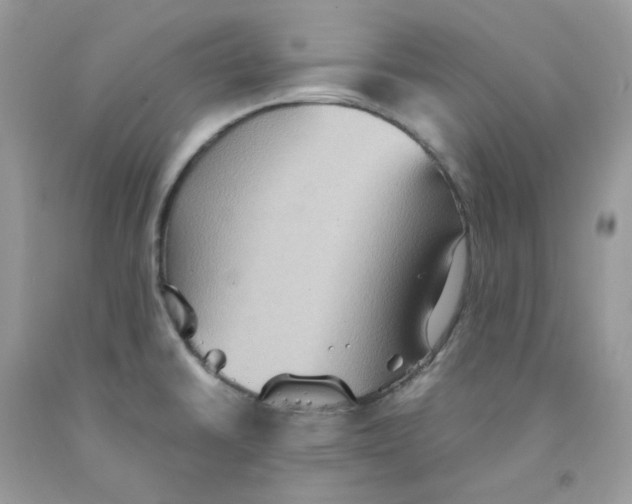 X0000091551430200709141507