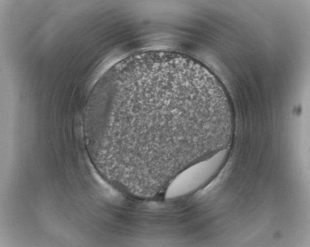 X0000091551433200709141507