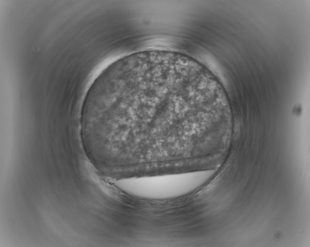 X0000091551435200709141507