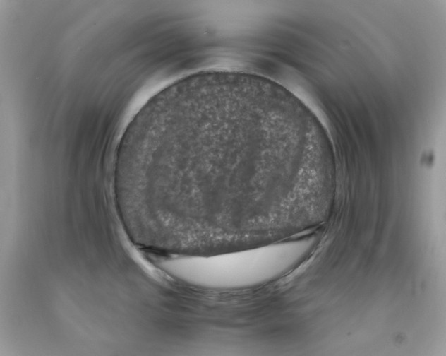 X0000091551437200709141507