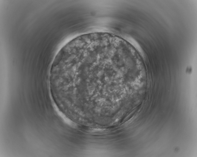 X0000091551439200709141507