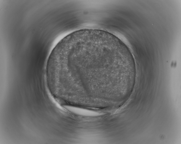 X0000091551440200709141507