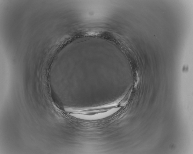 X0000091551441200709141506