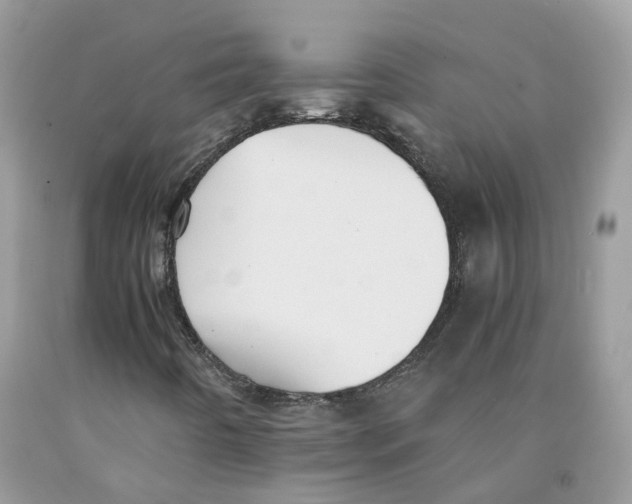 X0000091551442200709141506