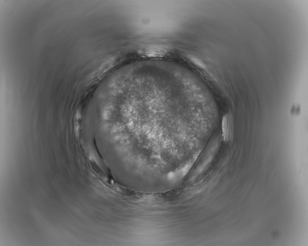 X0000091551443200709141506