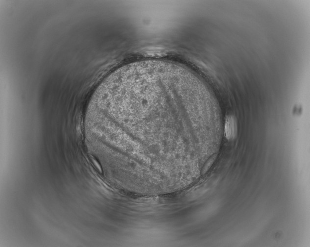 X0000091551444200709141506