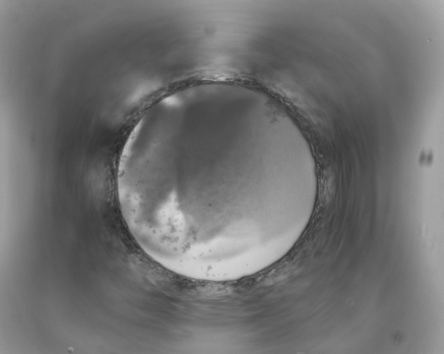 X0000091551446200709141506