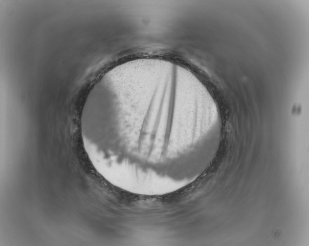 X0000091551447200709141506