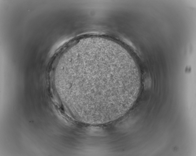 X0000091551448200709141506