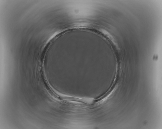 X0000091551449200709141506