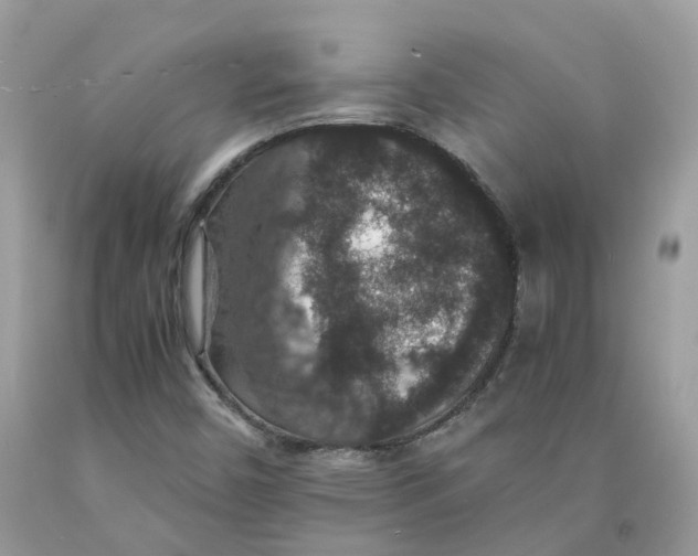 X0000091551450200709141506