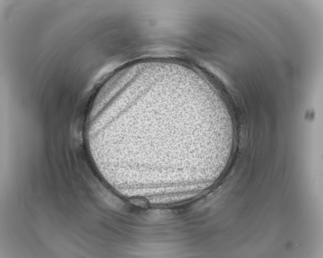 X0000091551451200709141506