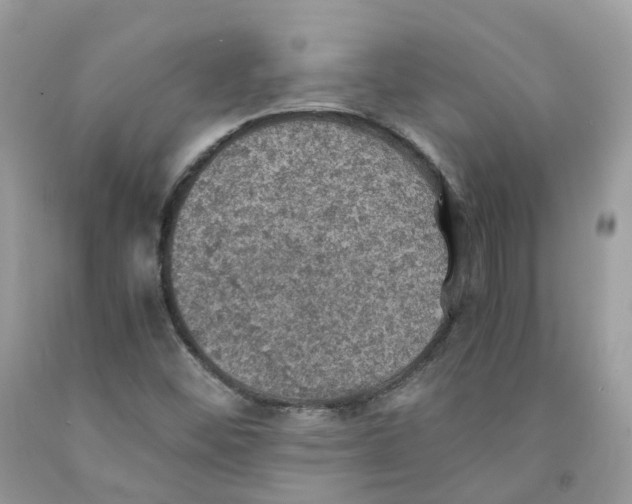 X0000091551452200709141506