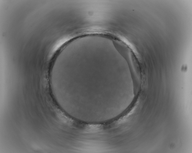 X0000091551453200709141506