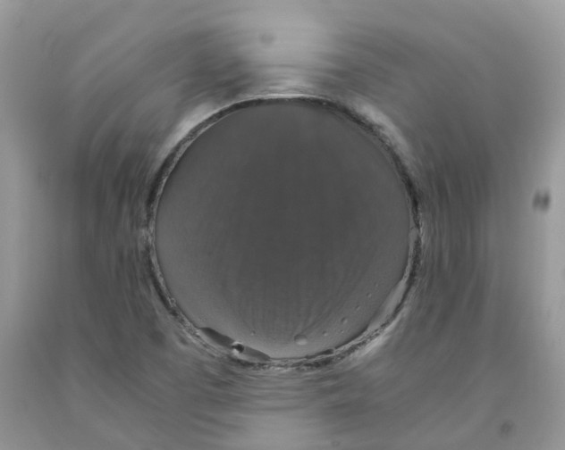 X0000091551457200709141506