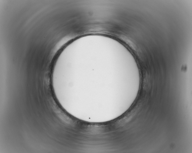 X0000091551458200709141506