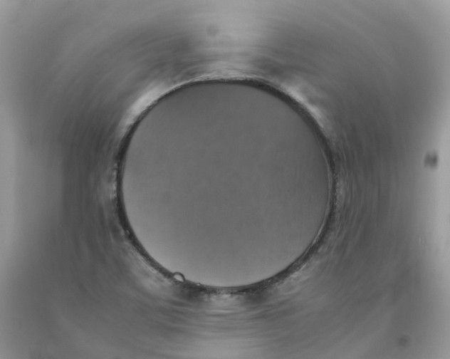 X0000091551459200709141506