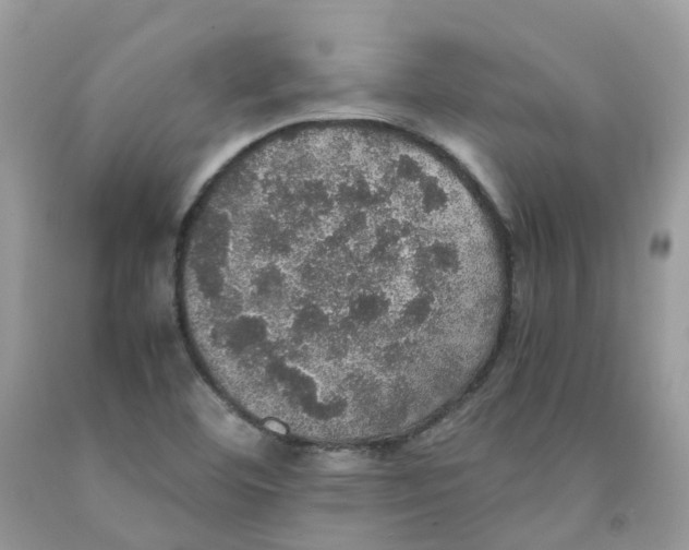 X0000091551460200709141506