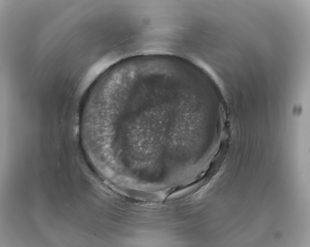 X0000091551461200709141506