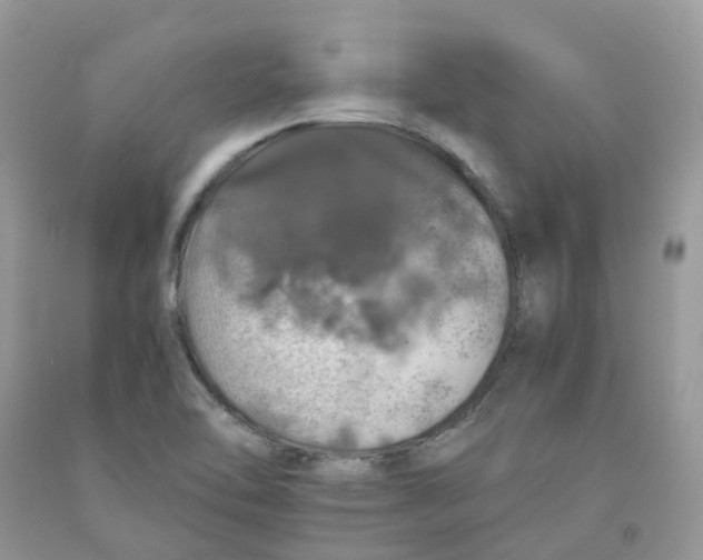 X0000091551462200709141506