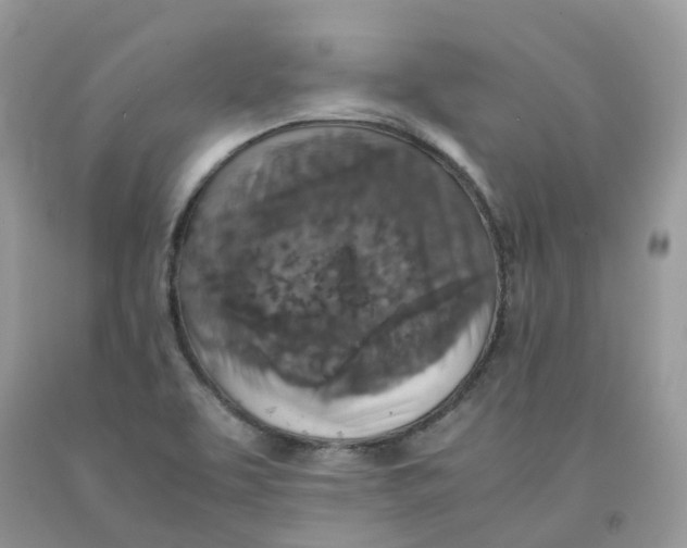 X0000091551463200709141506