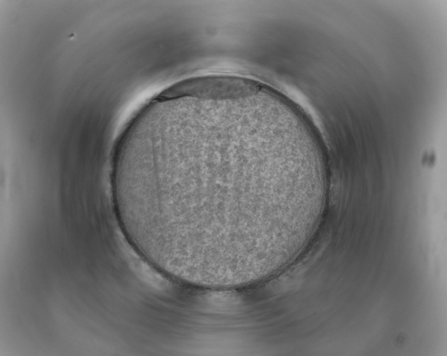 X0000091551464200709141506