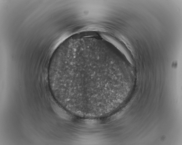 X0000091551465200709141506