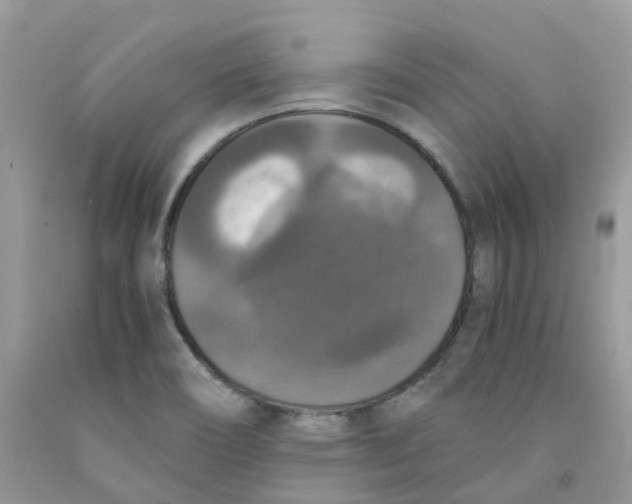 X0000091551466200709141506