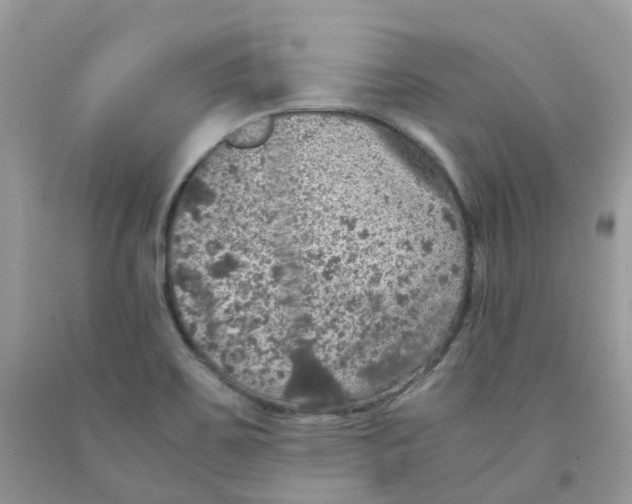 X0000091551467200709141506