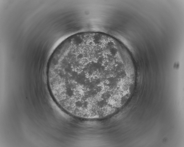 X0000091551468200709141506