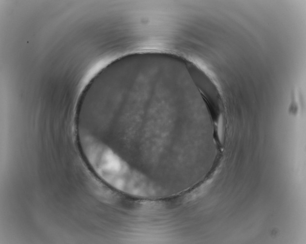 X0000091551469200709141506