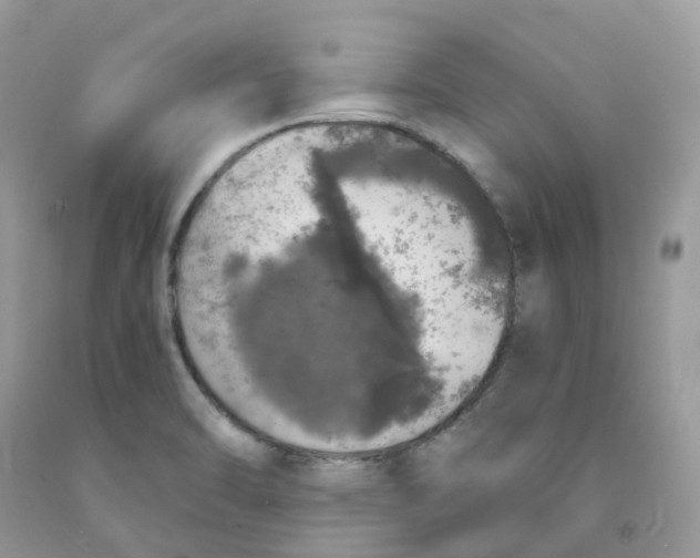 X0000091551470200709141506