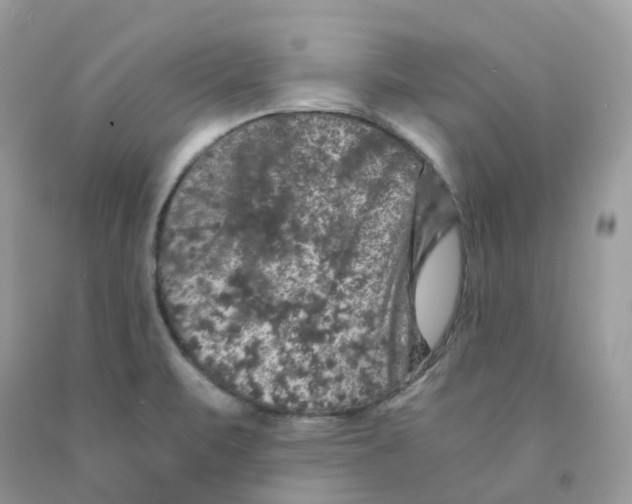 X0000091551471200709141506