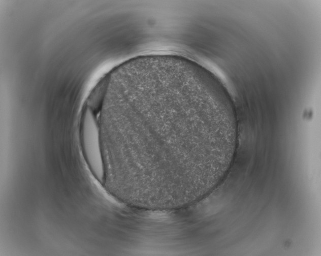 X0000091551472200709141506