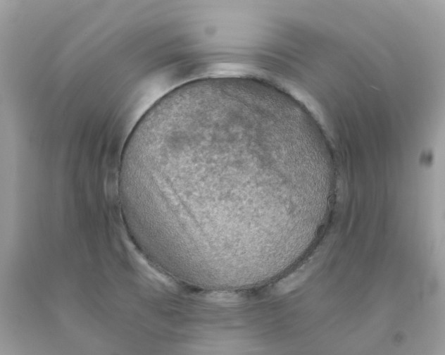 X0000091551473200709141506