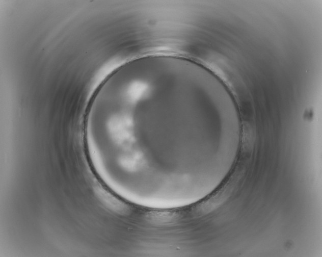 X0000091551474200709141506