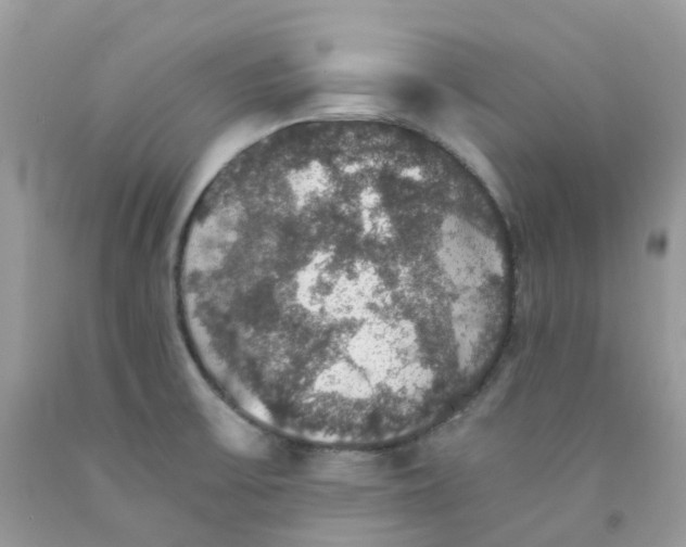 X0000091551475200709141506