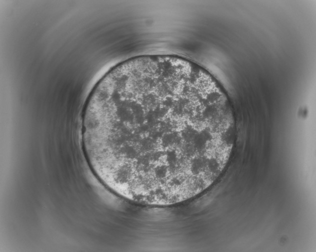 X0000091551476200709141506