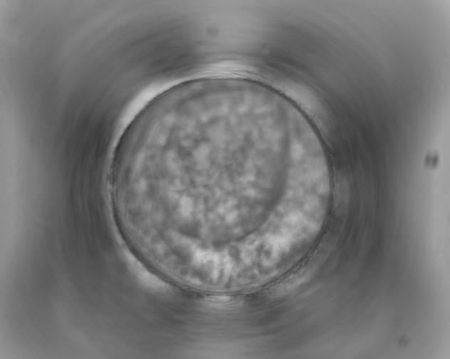 X0000091551478200709141506