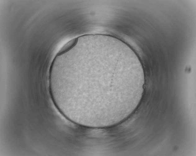 X0000091551479200709141506