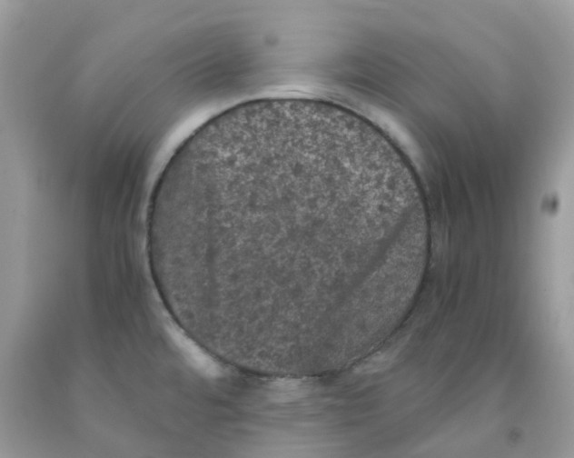 X0000091551480200709141506