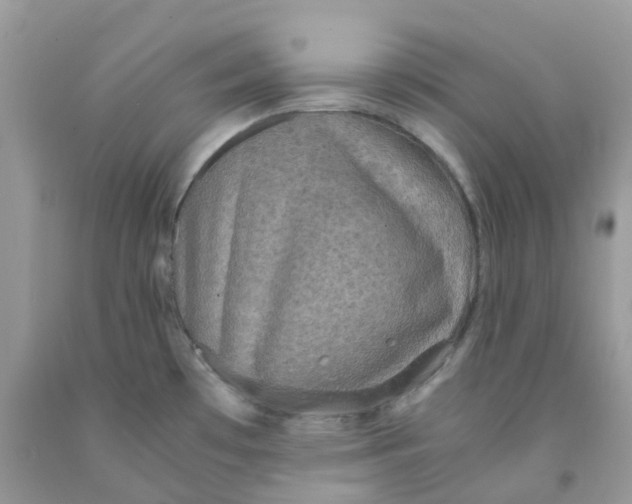 X0000091551481200709141506