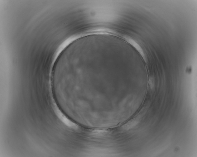 X0000091551482200709141506