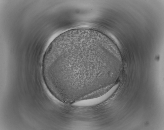 X0000091551483200709141506